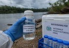 Eerste wateronderzoek na vissterfte Boven-Saramacca: cyanide en kwik onder normwaarde