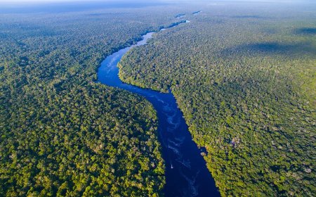 Braziliaanse overheid investeert 617,5 miljoen dollar in ecologische projecten Amazonegebied