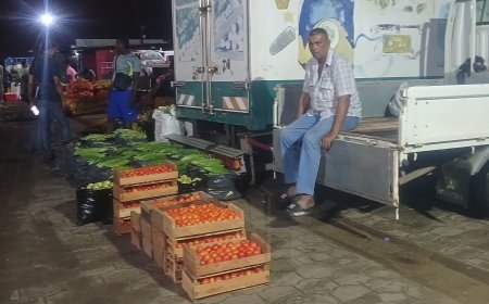 Landbouwers: “We hebben geen keus om de prijzen van groenten te verhogen”