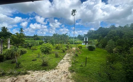 Plantage Spieringshoek herrijst uit stilte tot toeristische trekpleister