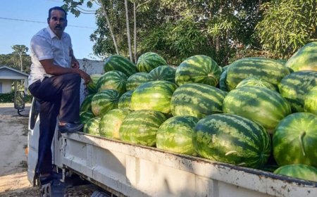 Jogi: ´Agrarisch beleid ontbreekt, boeren worden aan hun lot overgelaten´