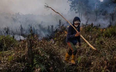 VN waarschuwt voor extreme weersomstandigheden door naderende El Niño