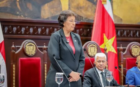 President Simons spreekt Nationaal Congres Dominicaanse Republiek toe