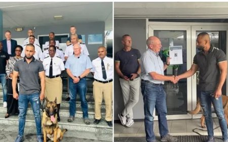 Eerste drugsspeurhond versterkt Douane Suriname