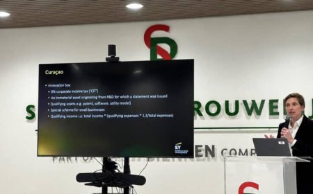 EY: Suriname mist gerichte fiscale prikkels voor innovatie