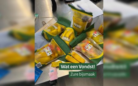 Nederlandse douane onderschept drugs verstopt in Surinaams zuurgoed
