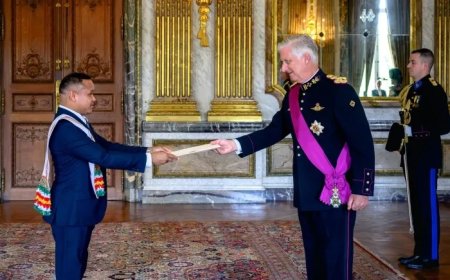 Ambassadeur Armaketo overhandigt geloofsbrieven aan Belgische koning