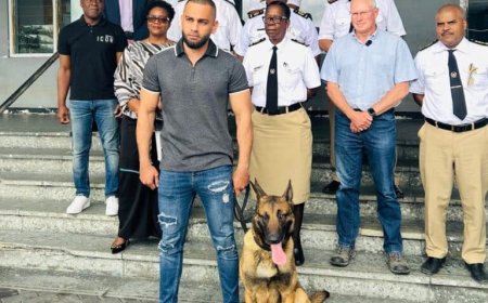 Surinaamse douane krijgt eerste officiële drugsspeurhond