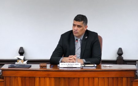 DNA-voorzitter Adhin stemt niet mee in zaak ex-ministers