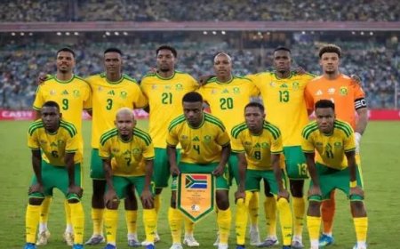Bafana Bafana vertrouwt volledig op eigen talent