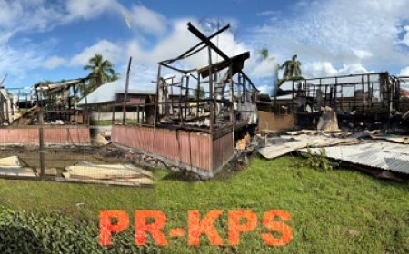 Houten woning te Henar geheel afgebrand