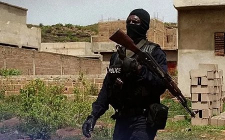 Franse diplomaat krijgt 20 jaar cel in Mali