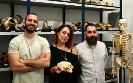 WIST U DAT: Spaanse wetenschappers 18.000 jaar oude sporen van kannibalen die hersenen aten h