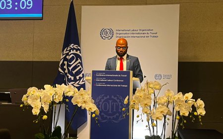 Misiekaba pleit op ILO-conferentie voor eerlijke en moderne arbeidsmarkt