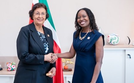 CDEMA-directeur bespreekt rampenweerbaarheid met president Simons