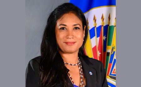 VS trekt diplomatenvisum van Xaviera Jessurun in; OAS-functionaris dient ontslag in