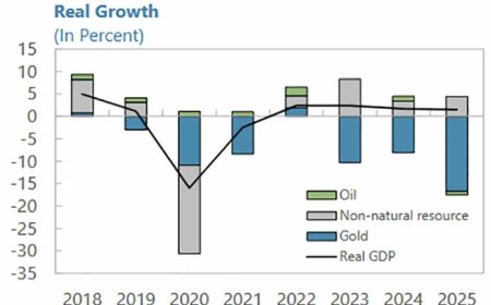 IMF: Goudsector blijft achter ondanks economische groei