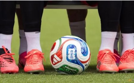 Duitse spelers steunen fans