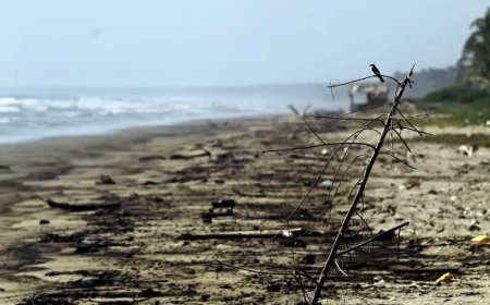 Venezuela hekelt Trinidad en Tobago om olielek: milieu- en economische schade dreigt