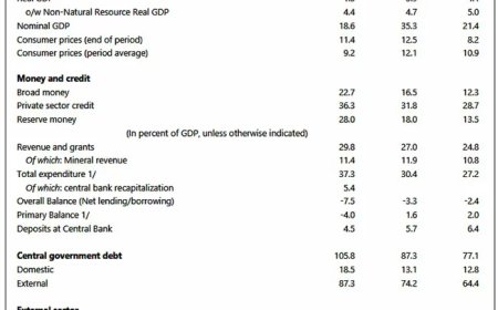 Wijnerman na IMF-beoordeling: Stabiliteit bereikt, maar werk is nog niet af