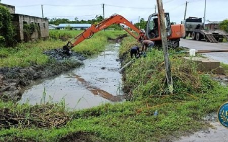 DC Muller laat illegaal geplaatste duikers aan Putcherweg verwijderen