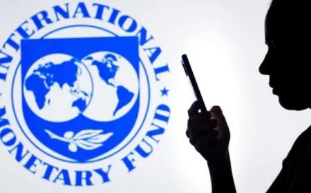 IMF geeft applaus, burger krijgt de rekening