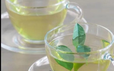 Groene thee blijkt goed voor het brein