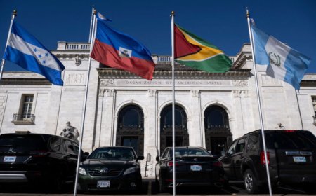 OAS: Beschuldigingen tegen Ramdin “ongefundeerd”