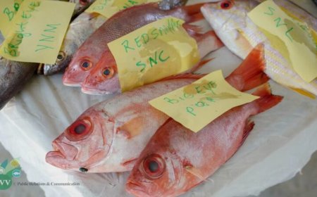 Suriname mag weer vis exporteren naar Verenigde Staten