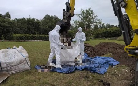In Polen zijn tientallen dode foetussen ontdekt in tuin woning