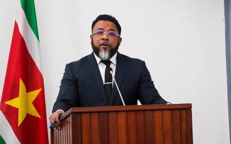 Somohardjo: VHP-bestuursleden kregen via stichtingen tientallen percelen voor minder dan US$ 