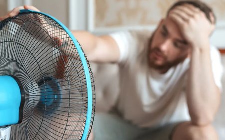 Hitte en zon domineren weekendweer