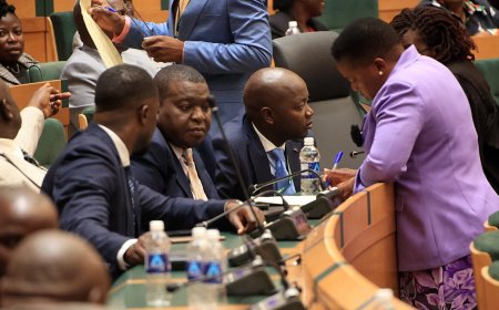 President Zimbabwe kan door wetswijziging twee jaar langer aan de macht blijven
