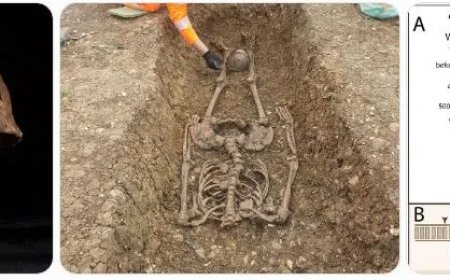 Pest gevonden bij 5000 jaar oud skelet