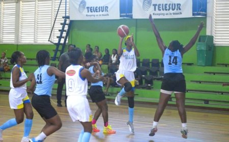 Vrouwen hoofdklasse basketbalplay-off: Yellow Birds pakt eerste zege na zwakke start