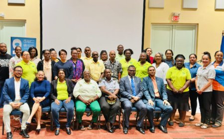 PAHO/WHO en volksgezondheid organiseren workshop over infectiepreventie
