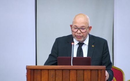 Currie wil 20 tot 25 procent van staatsinkomsten wettelijk vastleggen voor onderwijs
