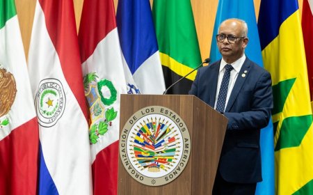 Ramdin: OAS brengt mandaten terug van 360 naar 77 en zet in op Haïti, democratie en hervormin