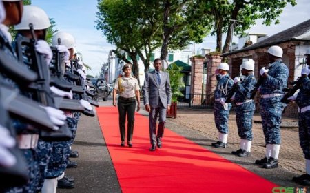 President Geerlings-Simons ontvangt premier Grenada