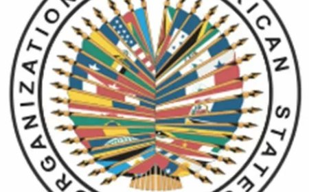 OAS roept op tot herstel van democratie in Cuba, Nicaragua en Venezuela