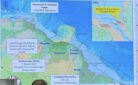 Guyana boos om kaart waarop Tigri als Surinaams grondgebied staat aangegeven