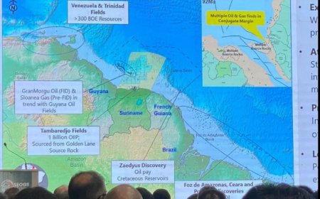 PSC Guyana veroordeelt Surinaamse kaartweergave