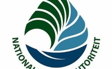Massale  vissterfte in Moeroekreek: NMA start onderzoek