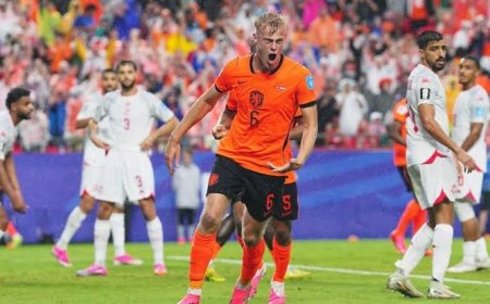 Nederland verslaat Tunesië op WK en treft Marokko na winst in Groep F