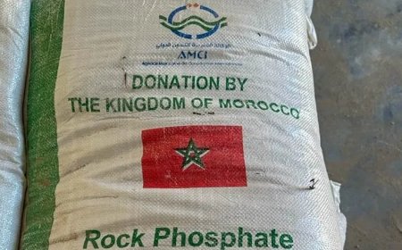 Verhoogde prijzen kunstmest als gevolg van Iran-oorlog zal doorwerken in productiekosten van 