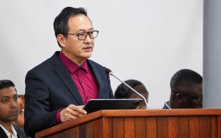 Drie bruggen moeten Surinaamse economie versterken
