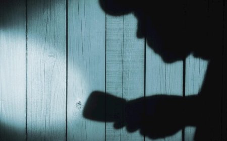 Grote buit bij woninginbraak in Santodorp