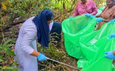 14 km rivieroevers Nickerie worden schoongemaakt tijdens mangroveherstelproject