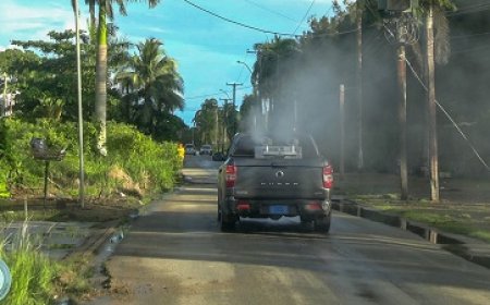 Bespuitingen tegen chikungunya deze week in vier ressorten