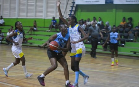 Yellow Birds plaatst zich voor vrouwen basketbalfinale